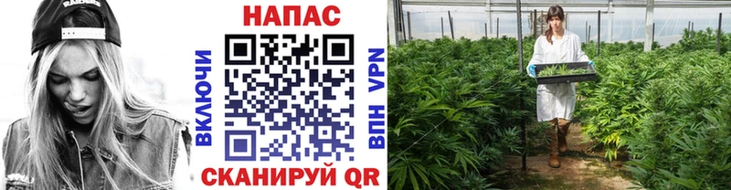Цена Черноголовка Амфетамин  А ПВП  МЕФ  Кокаин  Марихуана 