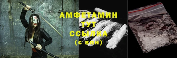 шишки Переславль-Залесский