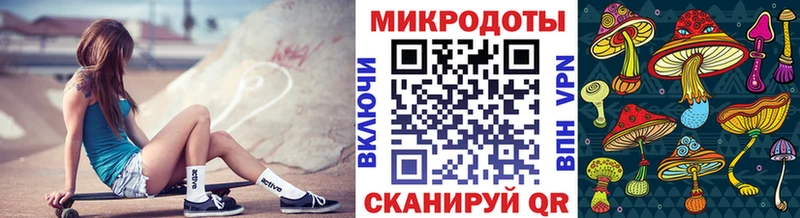 Галлюциногенные грибы прущие грибы Черноголовка